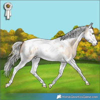 Horse Color:Silver Sable Champagne Dun Splash Tobiano Appaloosa 