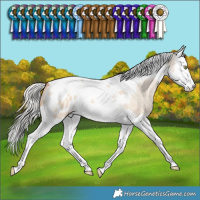 Horse Color:Silver Sable Champagne Dun Splash Tobiano Appaloosa