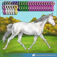 Horse Color:Silver Sable Cream Champagne Snowdrop Dun Splash Tobiano Blanket 