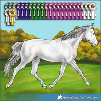 Horse Color:Silver Sable Cream Champagne Snowdrop Dun Splash Tobiano Appaloosa 
