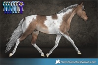Horse Color:Silver Brown Dun Tobiano