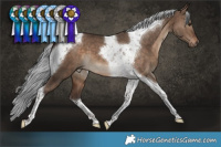 Horse Color:Silver Brown Dun Tobiano 