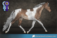 Horse Color:Silver Brown Dun Tobiano 