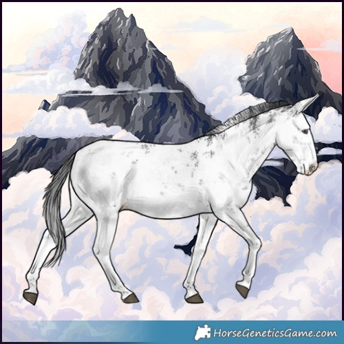 Horse Color:White Spotted Brown Chinchilla Ice Sabino 