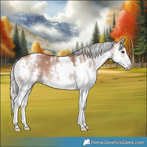 Horse Color:White Spotted Chocolate Silver Brown Splash