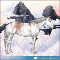 Horse Color:White Spotted Chocolate Silver Brown Splash