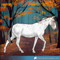 Horse Color:Chocolate Brown Dun Sabino Near Leopard