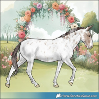 Horse Color:Chocolate Brown Dun Sabino Near Leopard 