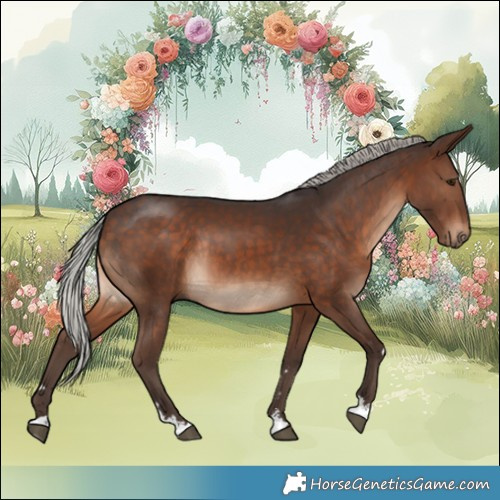 Horse Color:Silver Brown Rabicano 