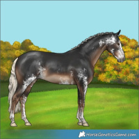 Horse Color:Gray Liver Chestnut Mushroom Sabino 