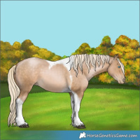 Horse Color:Chocolate Palomino Pearl Mushroom Tobiano 