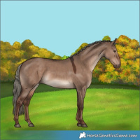 Horse Color:Liver Red Dun Mushroom