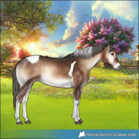Horse Color:Liver Red Onyx Mushroom Tobiano 