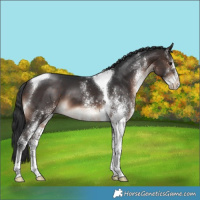 Horse Color:White Spotted Brown Mushroom Tobiano 