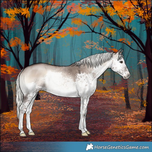 Horse Color:Liver Red Dun Onyx Mushroom Splash 