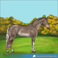 Horse Color:Liver Red Dun Mushroom Tobiano Rabicano 