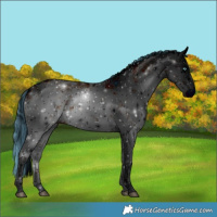 Horse Color:ERROR: UNKNOWN ANOMALY