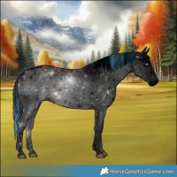 Horse Color:ERROR: UNKNOWN ANOMALY