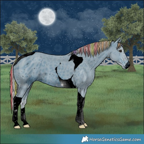Horse Color:ERROR: UNKNOWN ANOMALY