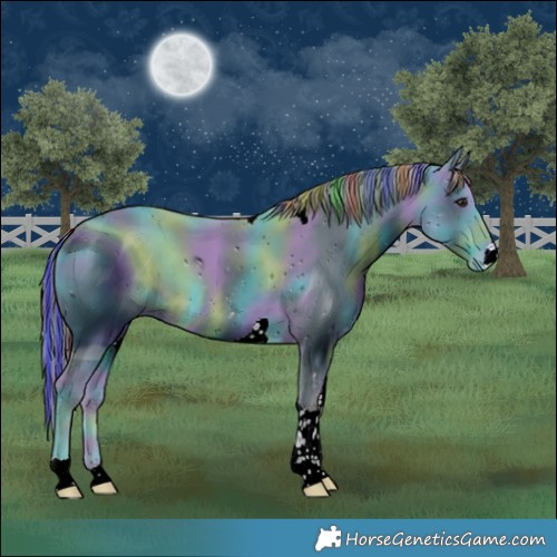 Horse Color:ERROR: UNKNOWN ANOMALY