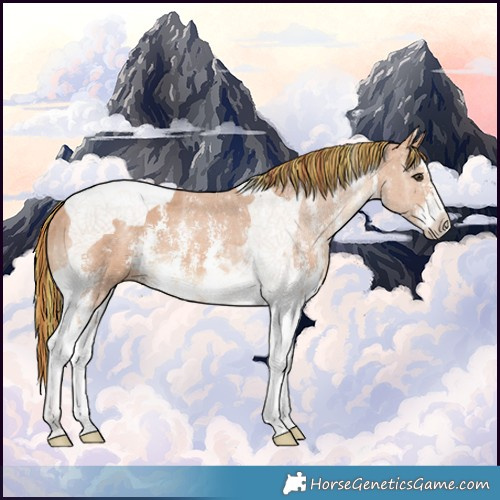 Horse Color:Painted Chestnut Ice Sabino Tobiano 