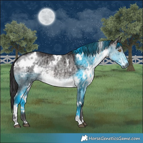 Horse Color:Platinum White Spotted Buckskin Dun Brindle 
