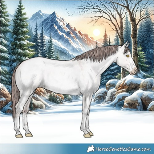 Horse Color:Platinum White Spotted Bay Roan Pearl Dun 