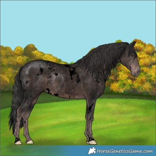 Horse Color:Void Platinum White Spotted Liver Red Roan 