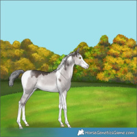 Horse Color:Platinum White Spotted Liver Red Dun Mushroom Tobiano 