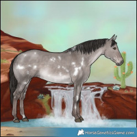 Horse Color:Platinum White Spotted Liver Red Dun 