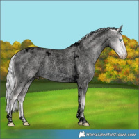 Horse Color:Void Platinum Silver Smoky Creme Roan Dun Tobiano 