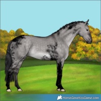 Horse Color:Void Platinum Brown Dun Tobiano 
