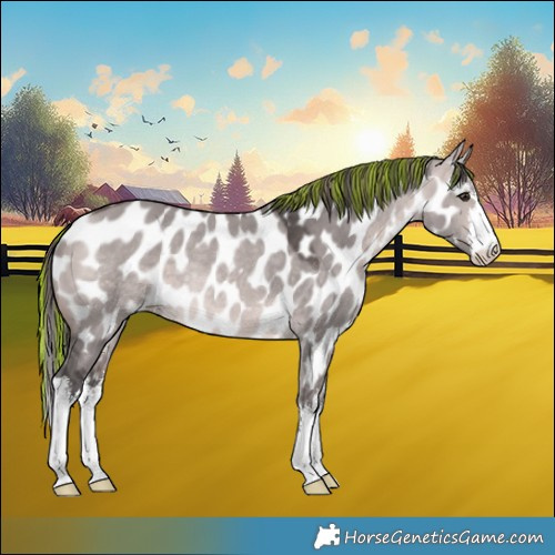 Horse Color:Platinum Painted White Spotted Bay Dun Near Leopard Rabicano 