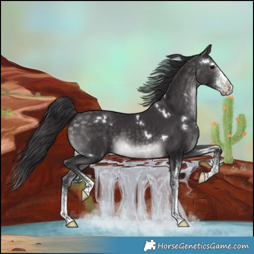 Horse Color:Platinum White Spotted Buckskin Splash