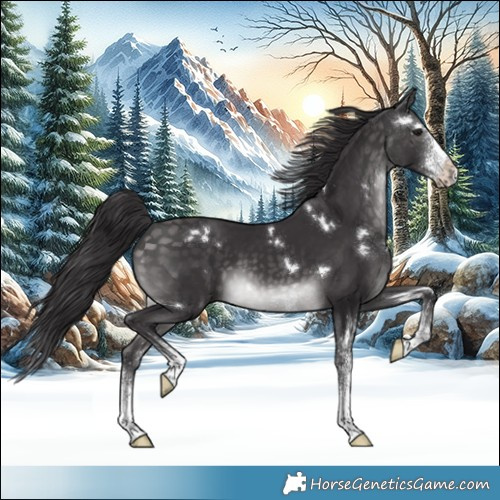 Horse Color:Platinum White Spotted Buckskin Splash 