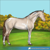 Horse Color:Brown Pearl Dun Tobiano