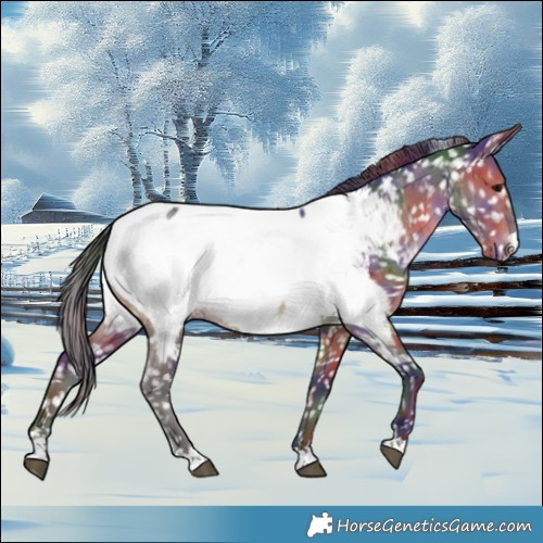 Horse Color:Nacre Brown Dun Near Fewspot Brindle 