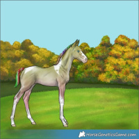 Horse Color:Painted Silver Smoky Black Pearl Tobiano 