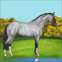 Horse Color:Smoky Blue Roan Varnish 