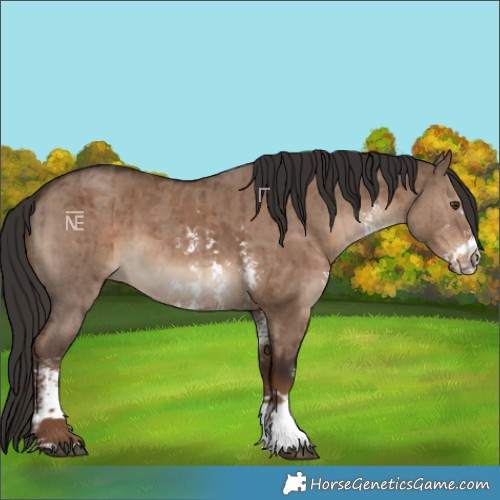 Horse Color:Liver Red Dun Sabino Brindle