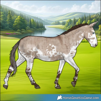 Horse Color:Liver Red Dun Splash Brindle 