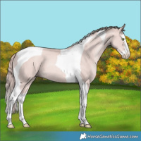 Horse Color:Platinum Gold Champagne Splash Tobiano 