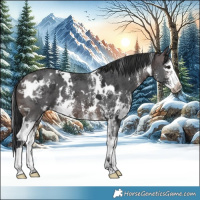 Horse Color:Platinum White Spotted Brown Sabino Splash 
