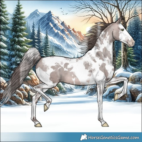 Horse Color:Platinum White Spotted Sable Champagne Splash Tobiano Varnish 