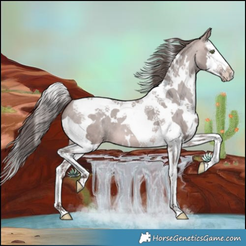 Horse Color:Platinum White Spotted Sable Champagne Splash Tobiano Varnish 