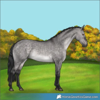 Horse Color:Platinum Brown Dun 