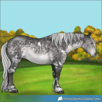 Horse Color:Platinum White Spotted Silver Buckskin Tobiano 