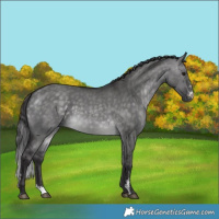 Horse Color:Platinum Buckskin Dun Sabino
