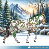Horse Color:Liver Red Dun Tobiano Near Leopard 