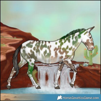 Horse Color:Liver Red Dun Tobiano Near Leopard 